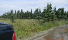 50495 Buoy Avenue Kenai, AK 99611