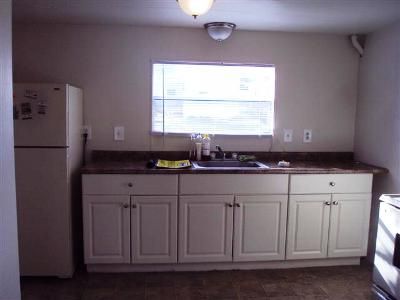 463 Gaylord, New Hudson, MI 48165