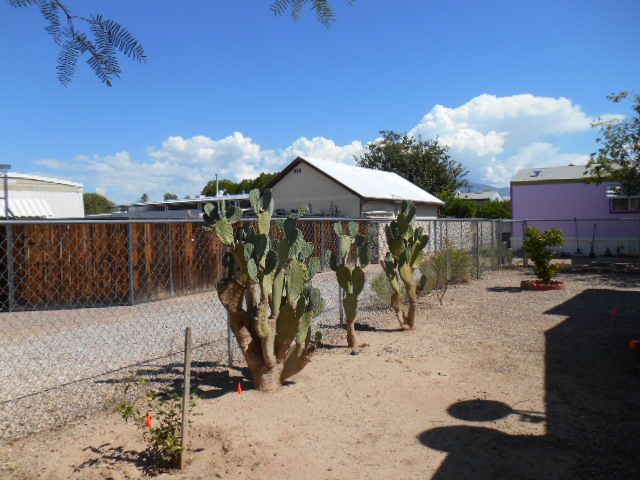 3616 W Cantaloupe Drive, Tucson, AZ 85741