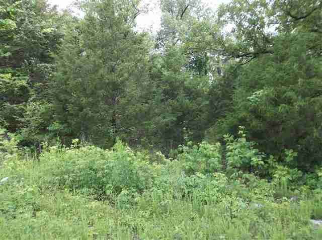 Lot 10 Cr 274, Mountain Home, AR 72653
