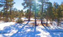 4190 W Sugar Pine Loop Show Low, AZ 85901