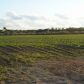 0 SW 154 ST & 184 AV, Miami, FL 33131 ID:1466196