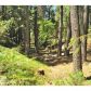 14328 Gracie Rd, Nevada City, CA 95959 ID:1146236