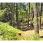 14328 Gracie Rd, Nevada City, CA 95959 ID:1146236