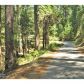 14328 Gracie Rd, Nevada City, CA 95959 ID:1146238