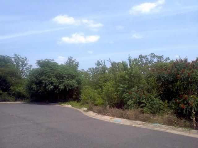 Lot 17 Palos Verdes, Hot Springs National Park, AR 71913