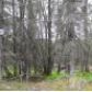 18360 Loveall Loop, Clam Gulch, AK 99568 ID:1110560