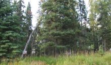 L8-9 N Spur Highway Mi 15 Kenai, AK 99611