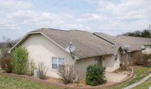 83 Ryan Road Rd Cotter, AR 72626