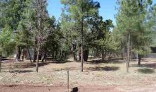 2560 Mescalero Show Low, AZ 85901