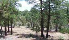 Lot 9 Pine Oaks Show Low, AZ 85901