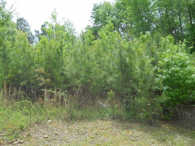 0 County Road 747, Cullman, AL 35058