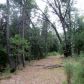 10522 Harmony Ridge Road, Nevada City, CA 95959 ID:1145812