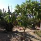 371 Avenida Andorra, Cathedral City, CA 92234 ID:895125