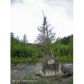 L85 Cache Creek Recreational, Trapper Creek, AK 99683 ID:1084926