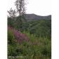 L85 Cache Creek Recreational, Trapper Creek, AK 99683 ID:1084929