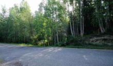 nhn Hillside Drive, Lot 2 Fairbanks, AK 99709