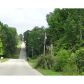 4987 Peach Mountain Drive, Gainesville, GA 30507 ID:1570349