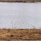 000 Lakewood Dr., Muscle Shoals, AL 35661 ID:1194236