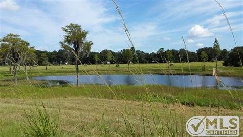 1731 NE Duval Pond Road, Madison, FL 32340