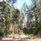 11145 New York Canyon, Nevada City, CA 95959 ID:1145659