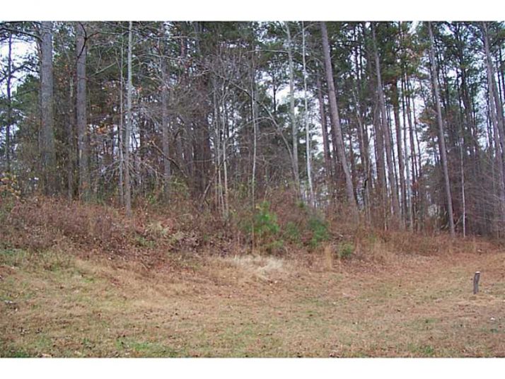 150 Bear Court, Ball Ground, GA 30107