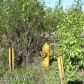 000 W Glenn Highway, Chugiak, AK 99567 ID:1493011