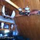 21223 Jayhawk Drive, Chugiak, AK 99567 ID:1493133
