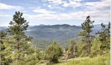 1030 Twisted Pine Road Golden, CO 80401