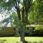 670 Holly Springs Rd, Mount Airy, NC 27030 ID:1101560