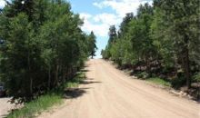 188 Lark Lane Bailey, CO 80421