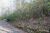 Lot 71 Crown Po West Jefferson, NC 28694