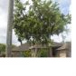 1325 Calle San Lucas, Corpus Christi, TX 78417 ID:1067981