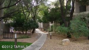 1500 E Pusch Wilderness Dr Unit 3206, Tucson, AZ 85737