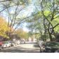 1447 W Victoria St #2c, Chicago, IL 60640 ID:1546158