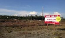 28444 Glacier Loop Road Chugiak, AK 99567