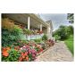 126 Terrace Lane, Blairsville, GA 30512 ID:1449417