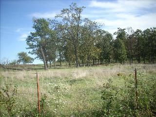 4163 Kelley Rd, Springdale, AR 72762