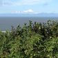 67400 Halibut Road, Ninilchik, AK 99639 ID:1079881