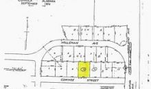 LOT 10 McNAB S/D Eufaula, AL 36027
