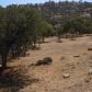 21400 Prospect Ave, Tehachapi, CA 93561 ID:1674693