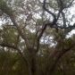 Lot 1573 River Chase (Apn# 142662), New Braunfels, TX 78132 ID:247757