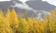 19251 Bernard Drive Eagle River, AK 99577