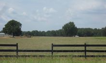 Lot 8 Buck Horn Estates Conway, AR 72032