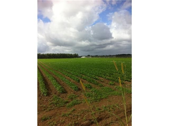 25200 SW 169 AVE, Homestead, FL 33031