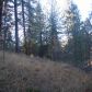 19168 Applejack Drive, Grass Valley, CA 95949 ID:1147303