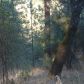 19168 Applejack Drive, Grass Valley, CA 95949 ID:1147308