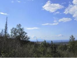 8320 Harwood Circle, Anchorage, AK 99516