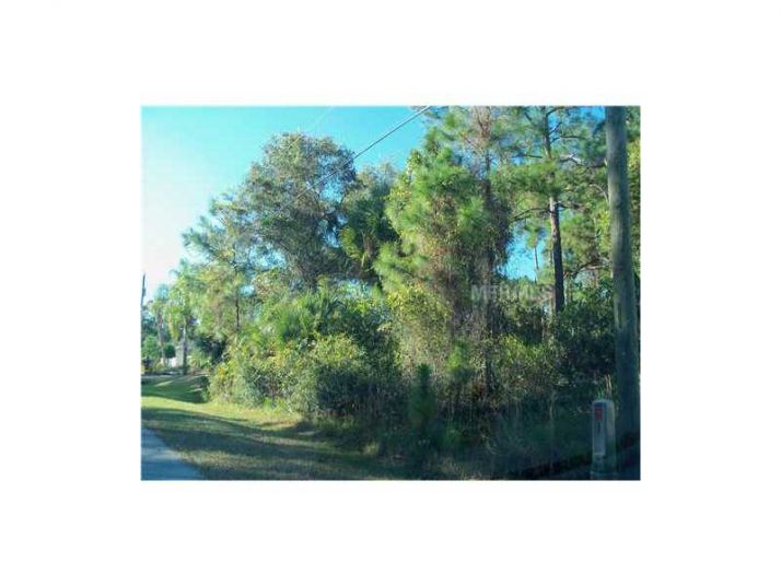 MADAGASCAR AVE, North Port, FL 34286