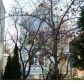 1408 South 49th Court, Cicero, IL 60804 ID:1063705